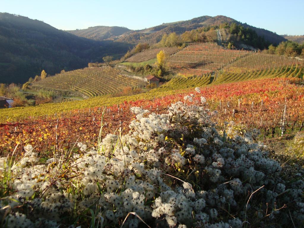 B&B Il Sogno Cossano Belbo Esterno foto