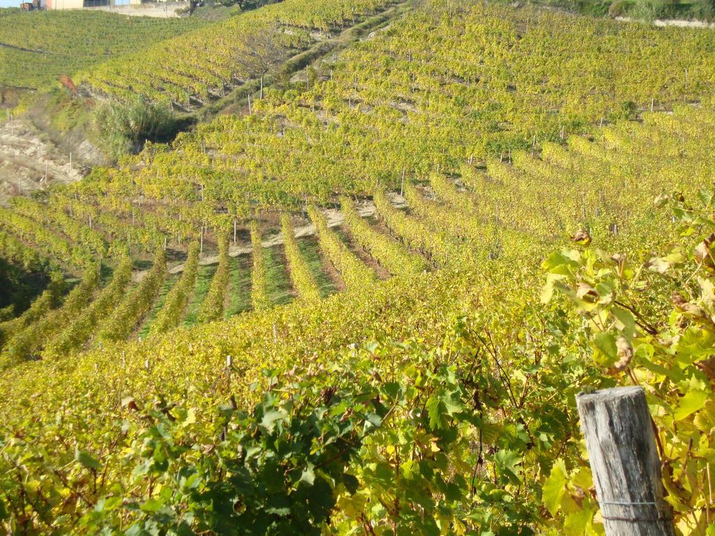 B&B Il Sogno Cossano Belbo Esterno foto
