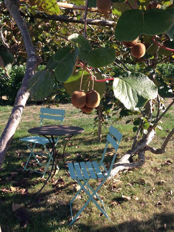 B&B Il Sogno Cossano Belbo Esterno foto