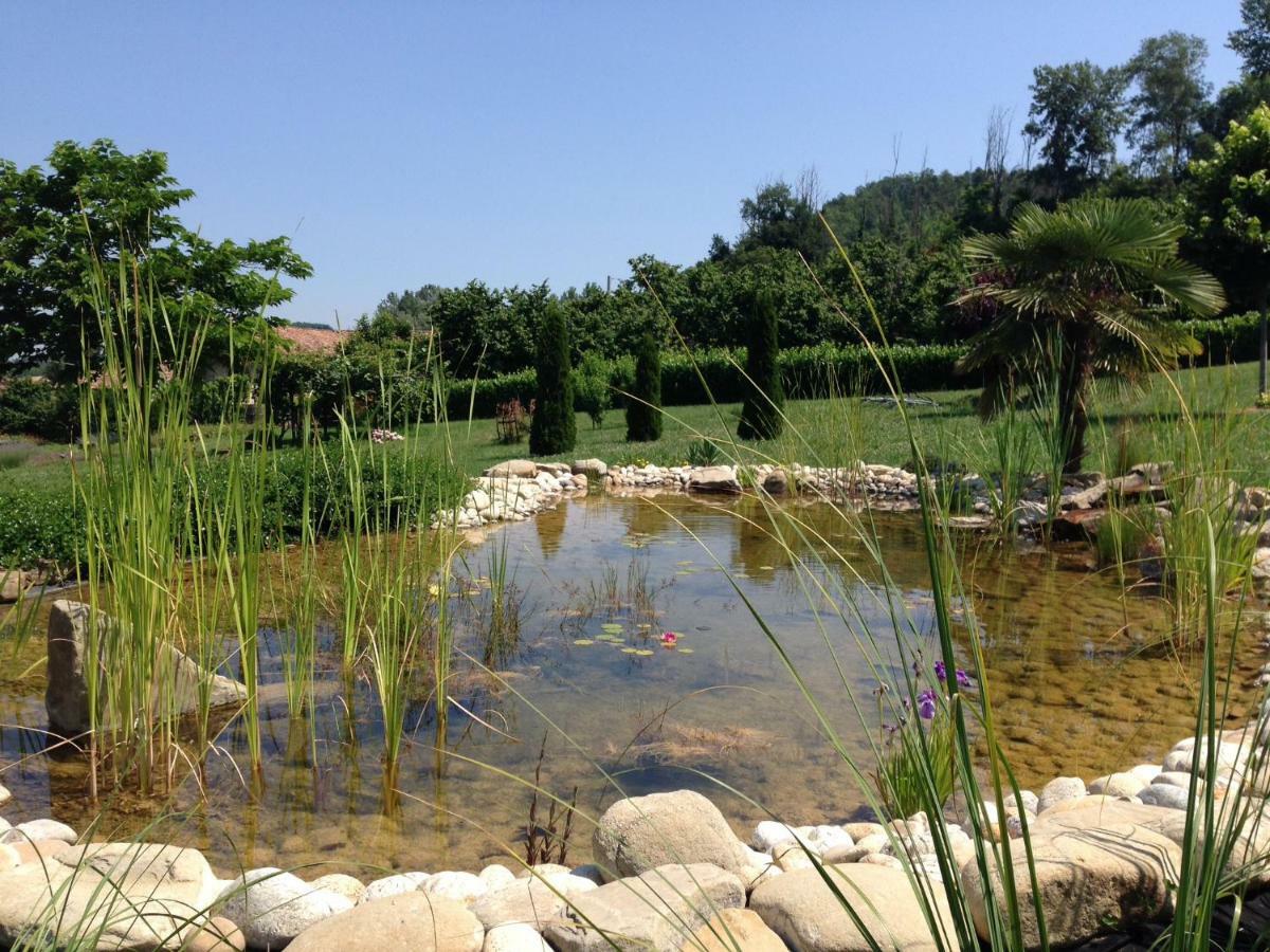 B&B Il Sogno Cossano Belbo Esterno foto