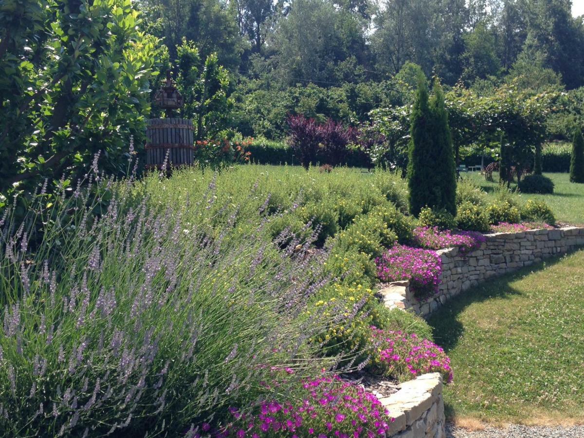 B&B Il Sogno Cossano Belbo Esterno foto